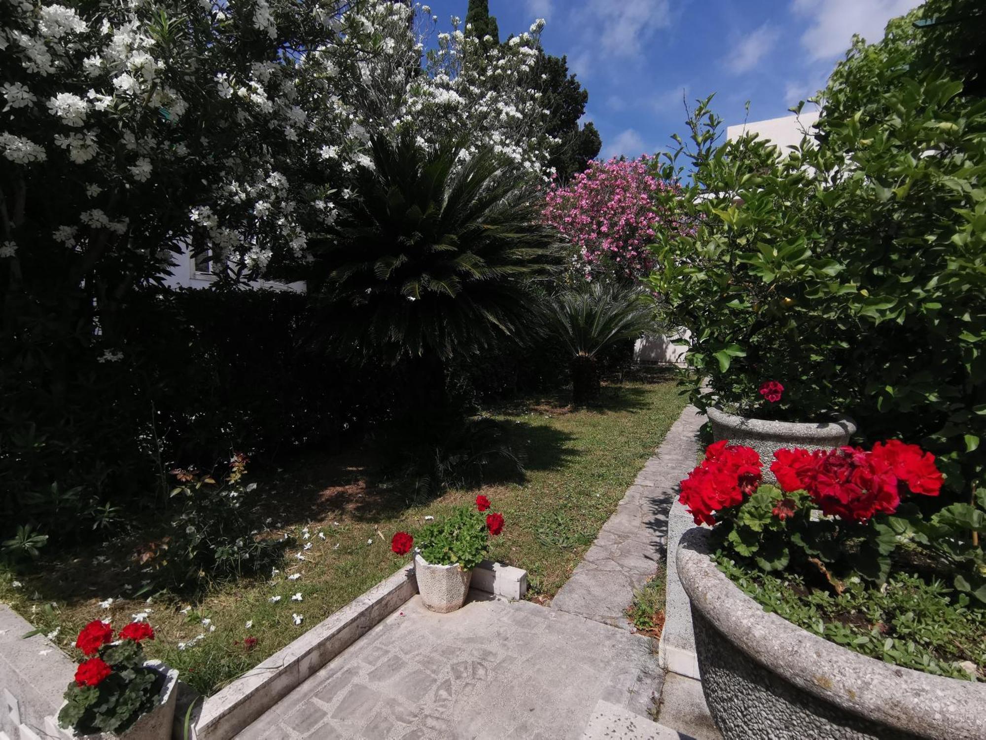 Apartments Maris Garden Petrovac المظهر الخارجي الصورة