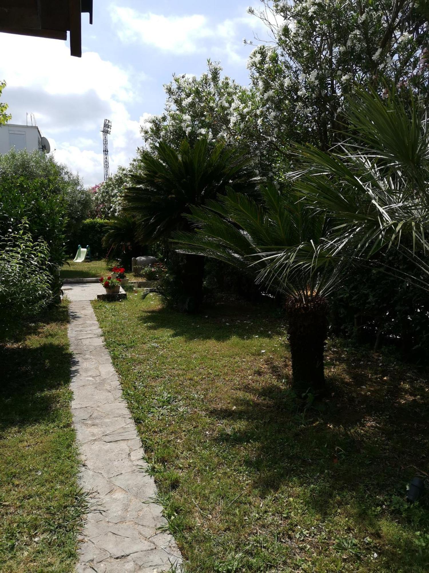 Apartments Maris Garden Petrovac المظهر الخارجي الصورة