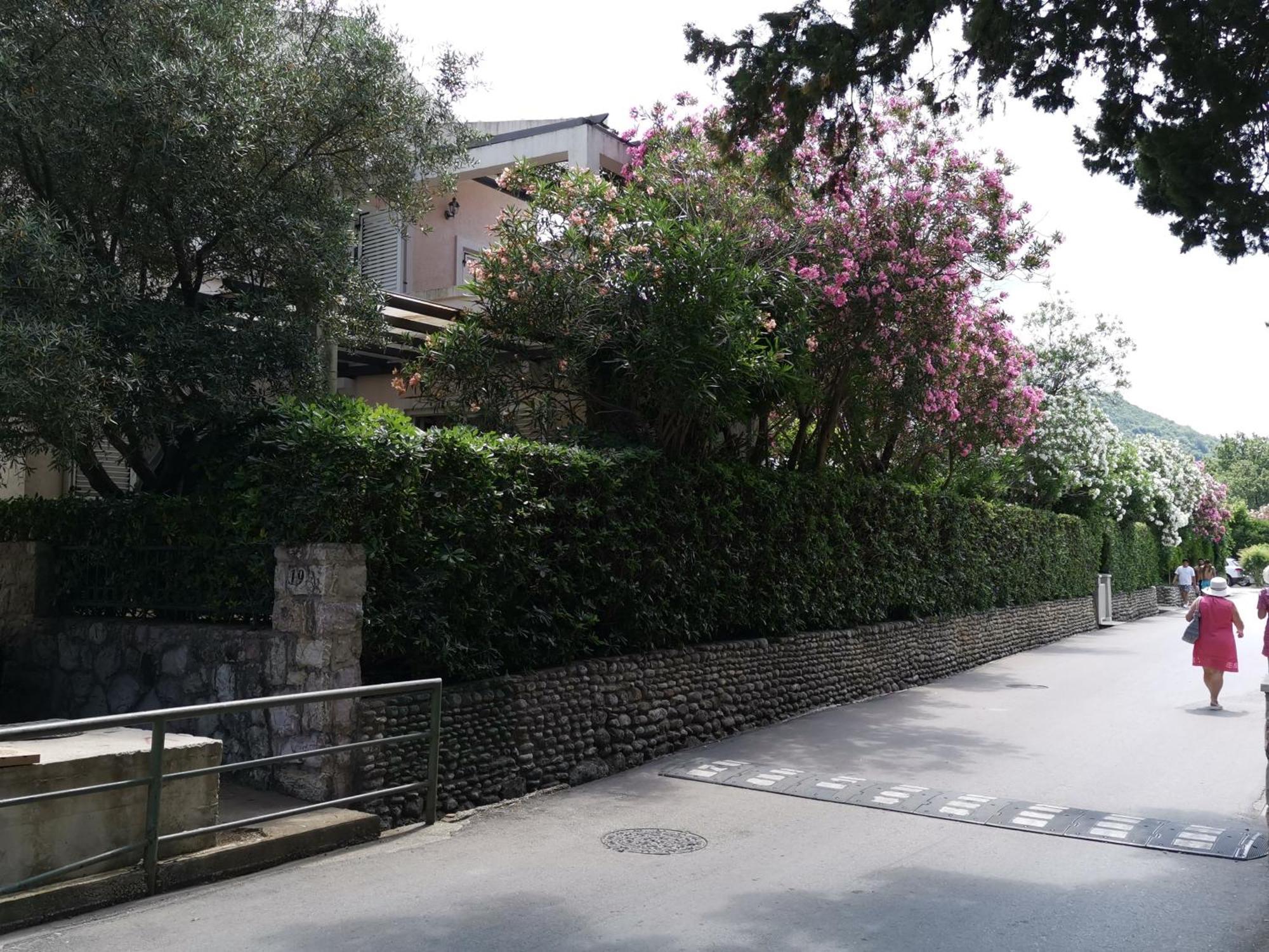 Apartments Maris Garden Petrovac المظهر الخارجي الصورة