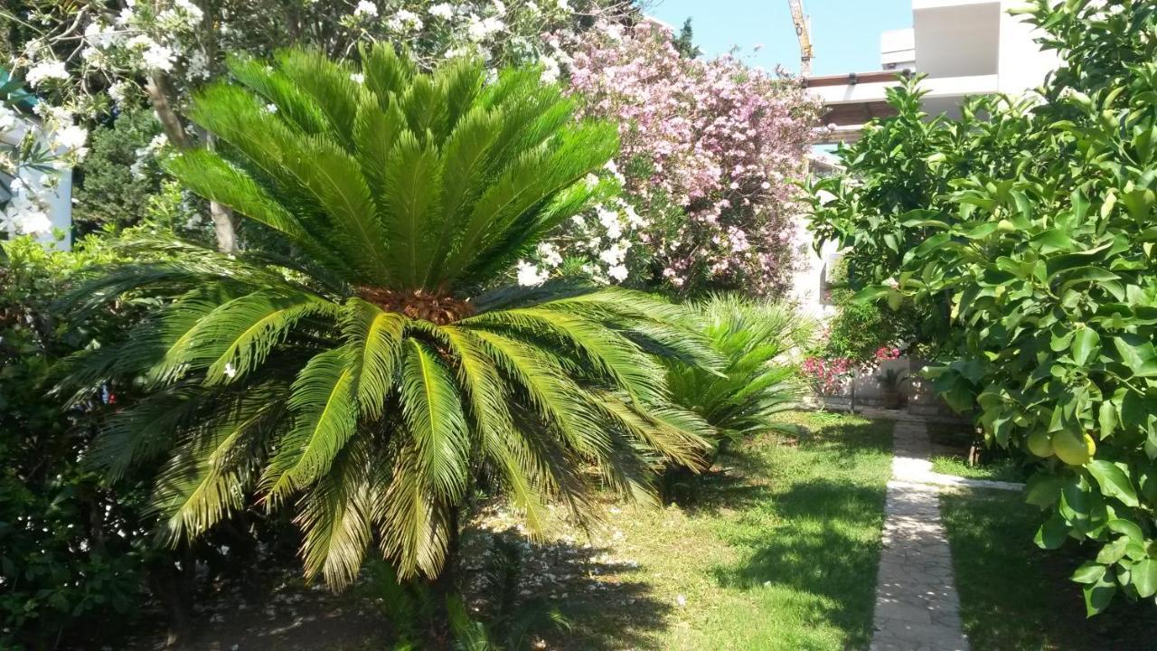 Apartments Maris Garden Petrovac المظهر الخارجي الصورة