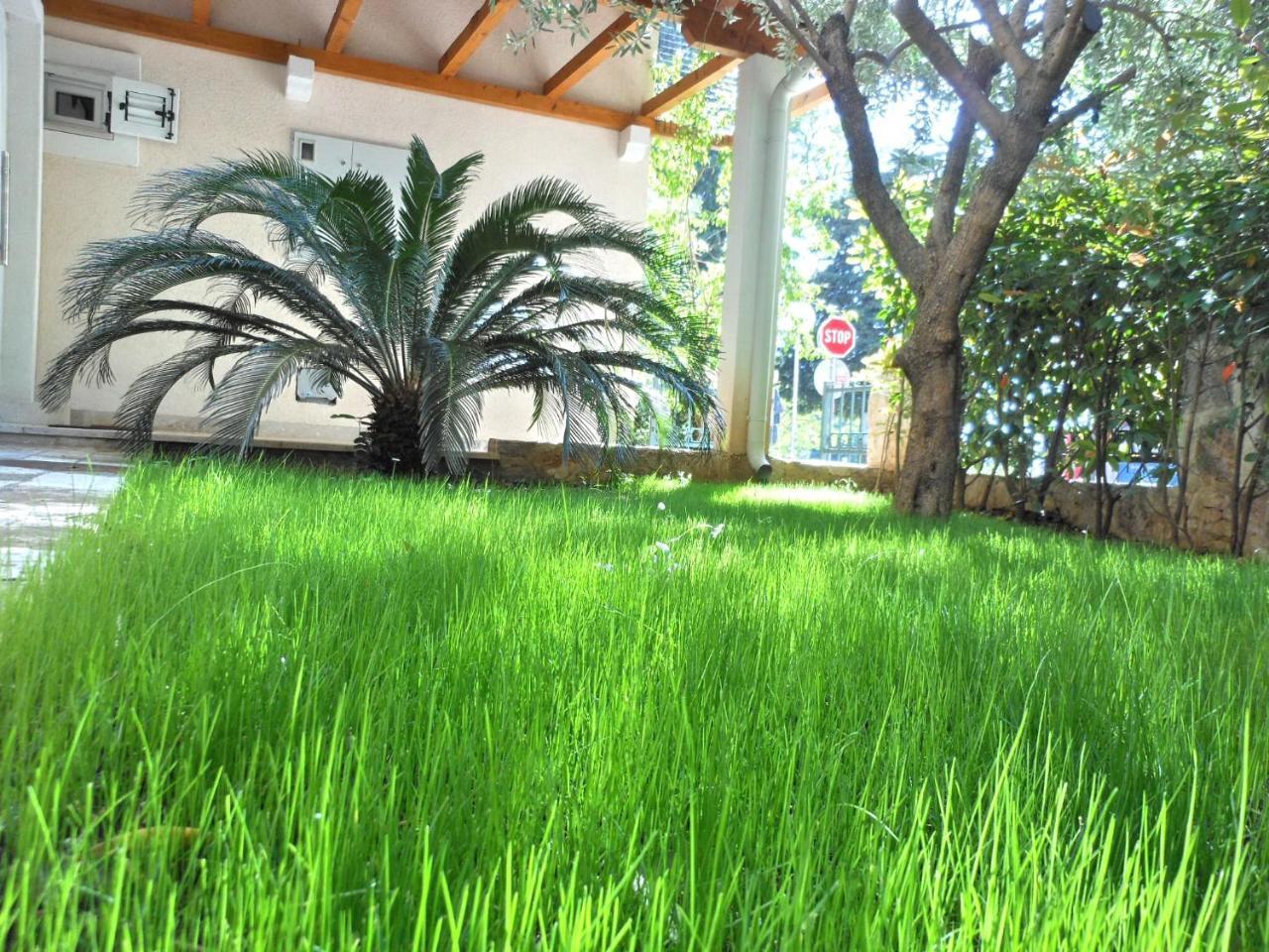 Apartments Maris Garden Petrovac المظهر الخارجي الصورة
